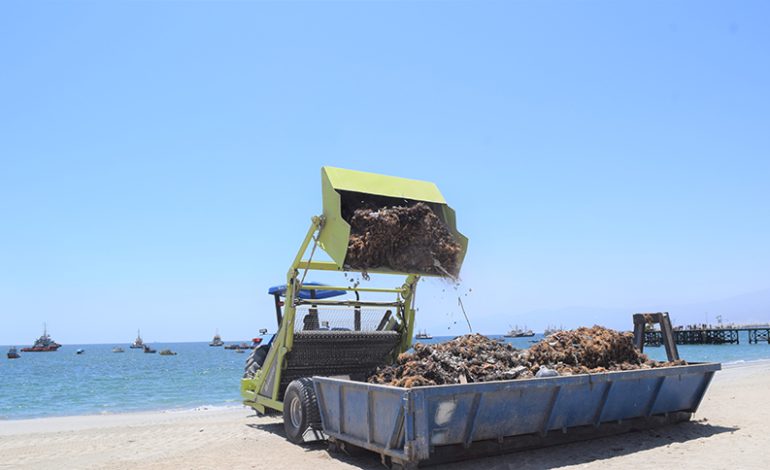15 toneladas de basuras fueron retiradas de las payas de Mejillones