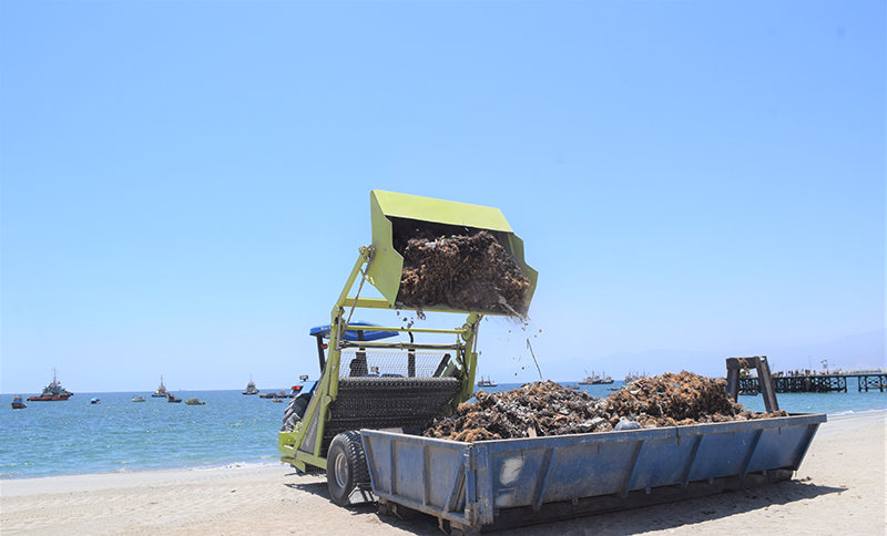 15 toneladas de basuras fueron retiradas de las payas de Mejillones