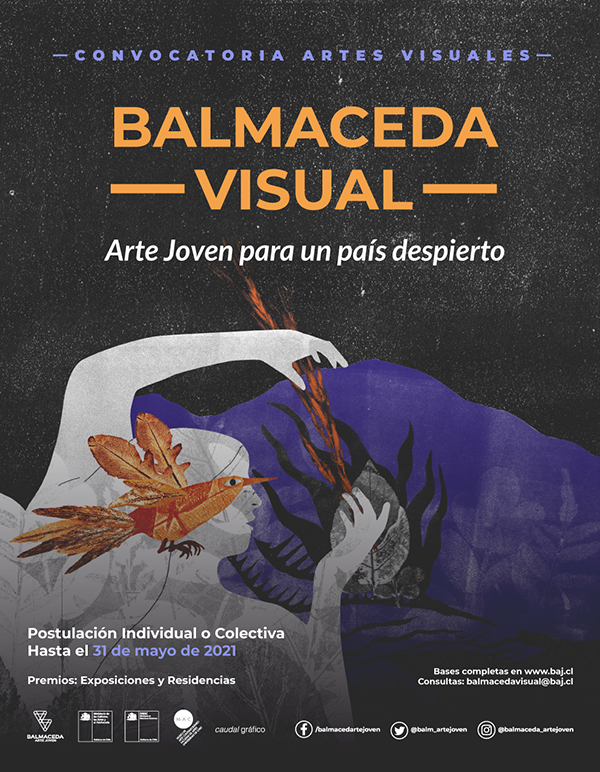 Concurso “Balmaceda Visual” abre convocatoria para artistas jóvenes en todo el país