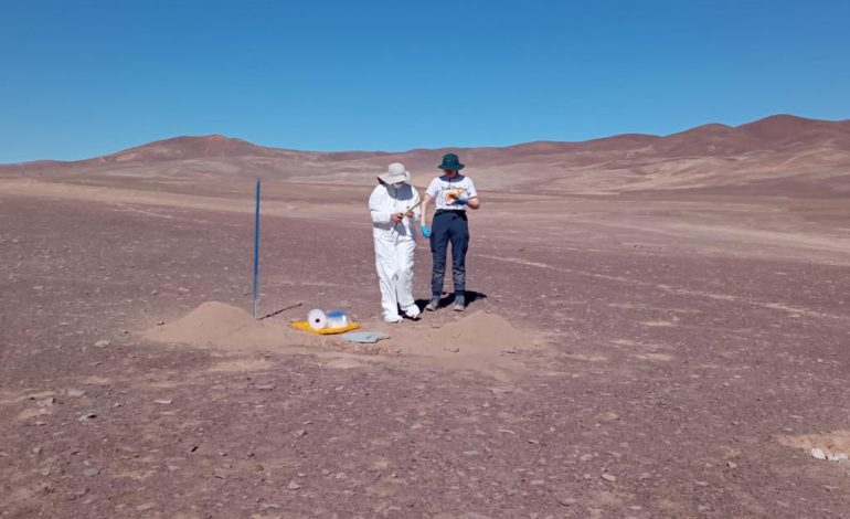 Científicos de la NASA y la UCN estudian la microbiota del desierto de atacama