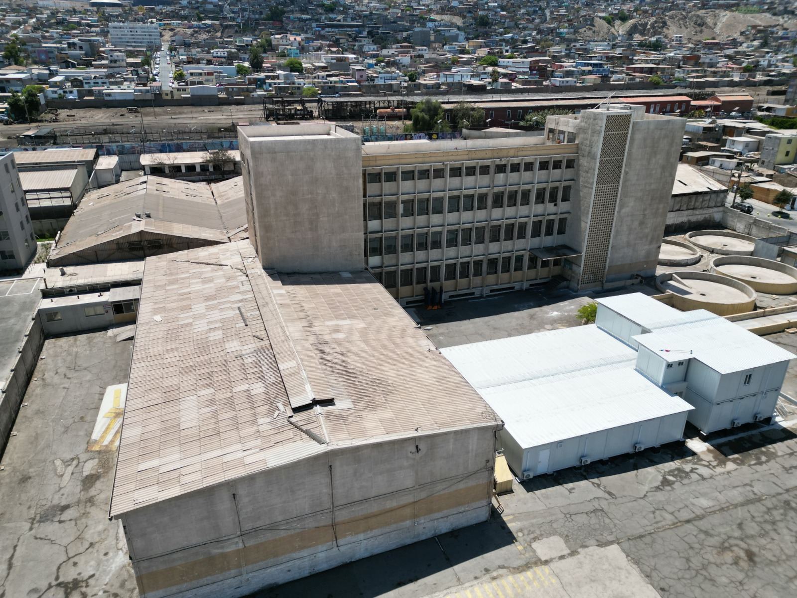 Ecosistemas Oscuros: SACO inaugurará la Exposición de arte más grande de Chile en 2025
