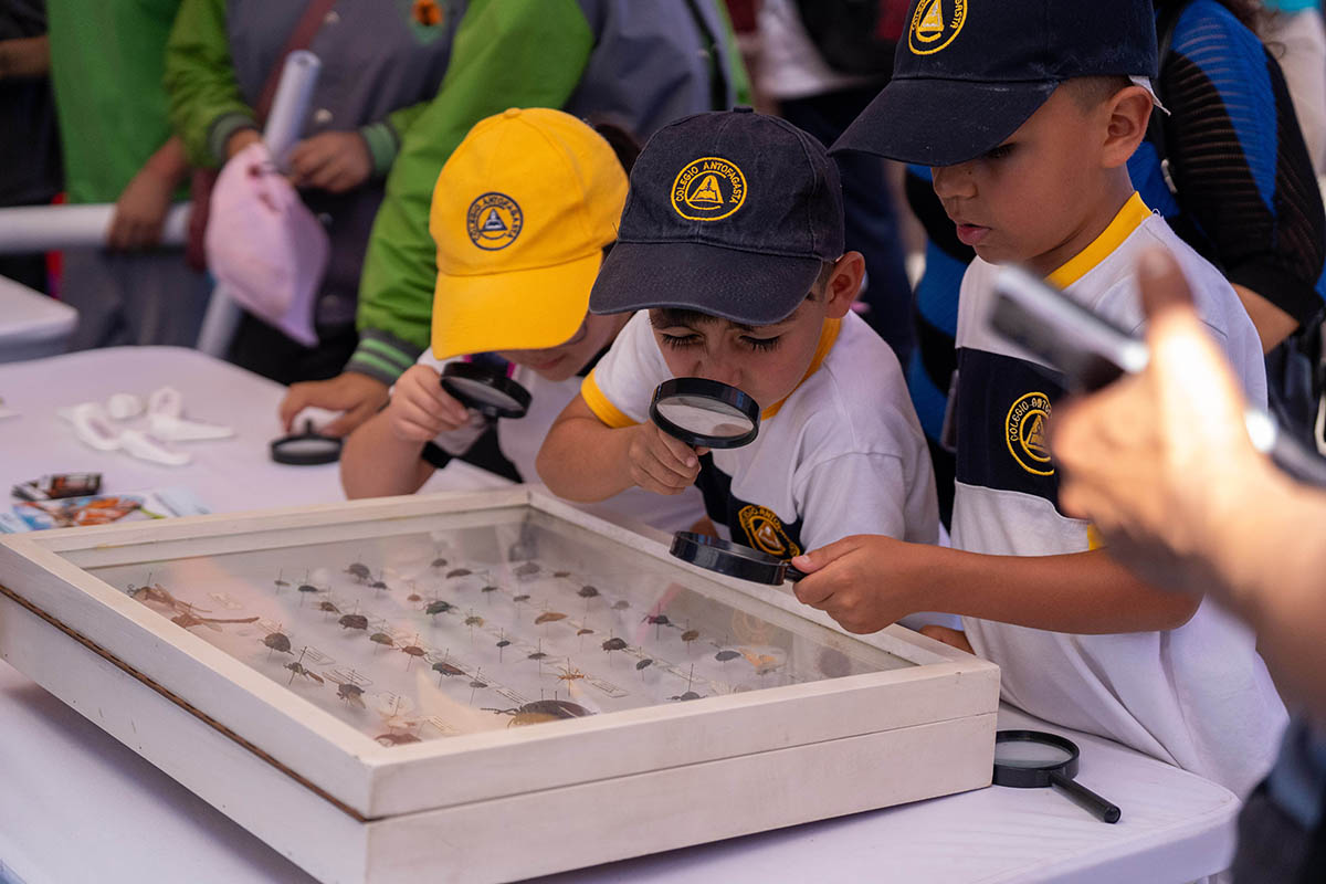 “De las neuronas al cosmos”: más de 100 actividades gratuitas darán vida al Festival de Ciencia Puerto de Ideas Antofagasta 2026