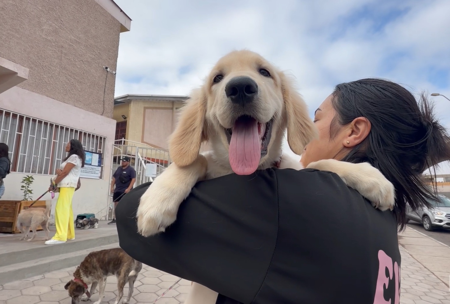 Invitan a organizaciones animalistas a postular a Fondo de Apoyo Municipal Antofagasta 2026