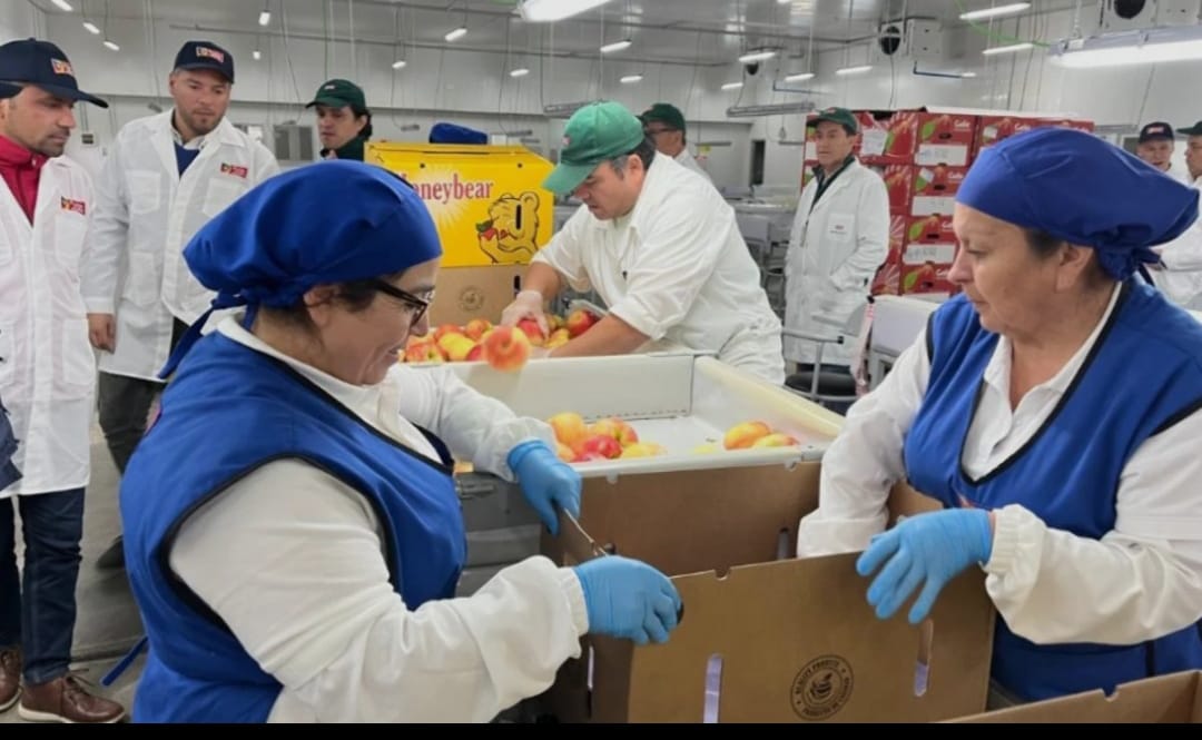 Abren postulaciones al Subsidio a la contratación, línea Activación Laboral